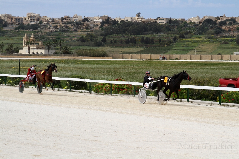 2015_Race 2 - 04.JPG